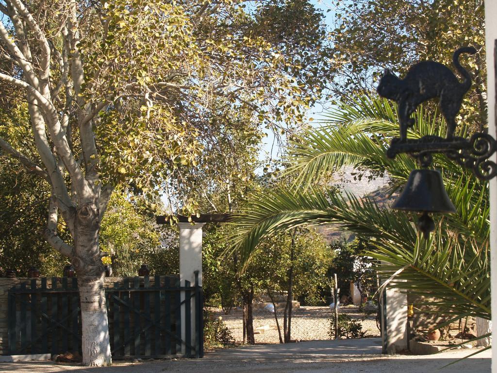 Pegasus Studios & Apartments Skyros Exterior photo