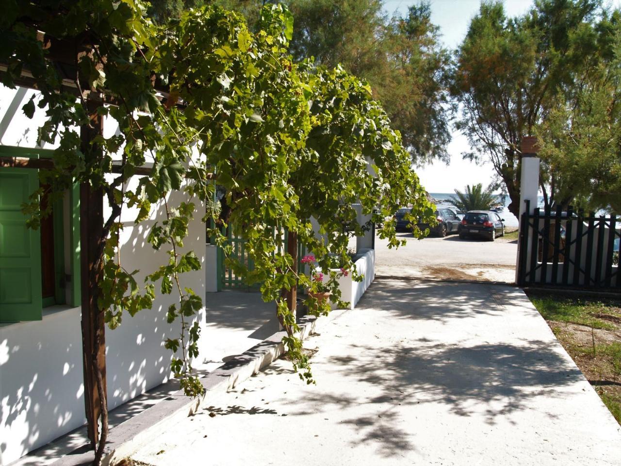 Pegasus Studios & Apartments Skyros Exterior photo